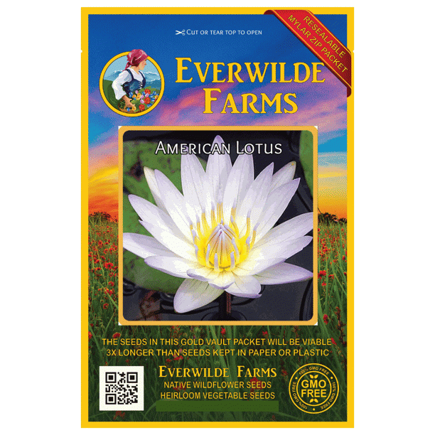 Everwilde Farms 3 American Lotus Native Wildflower Seeds Gold Vault