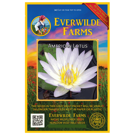 Everwilde Farms - 3 American Lotus Native Wildflower Seeds - Gold Vault Jumbo Bulk Seed