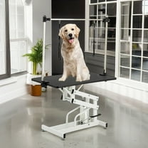 Pefilos 42" Heavy Duty Electric Lifting Pet Dog Grooming Table for Large Dogs with Overhead Arm, Anti-Skid Rubber Desktop and Powerful Motor Hydraulic Drying Table, Black