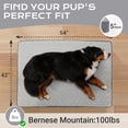 thumbnail image 5 of Ophanie 54in Gray Orthopedic Dog Bed for Large Dogs with Non-Slip Bottom, Waterproof and Machine Washable Removable Pet Bed Cover,Size(54"x42"x5"), 5 of 8