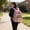 Pink, variant on Deeceymbur Small Plastic Clear Backpack Security Storage Lightweight Waterproof Portable for Activities Travel Pack Tote