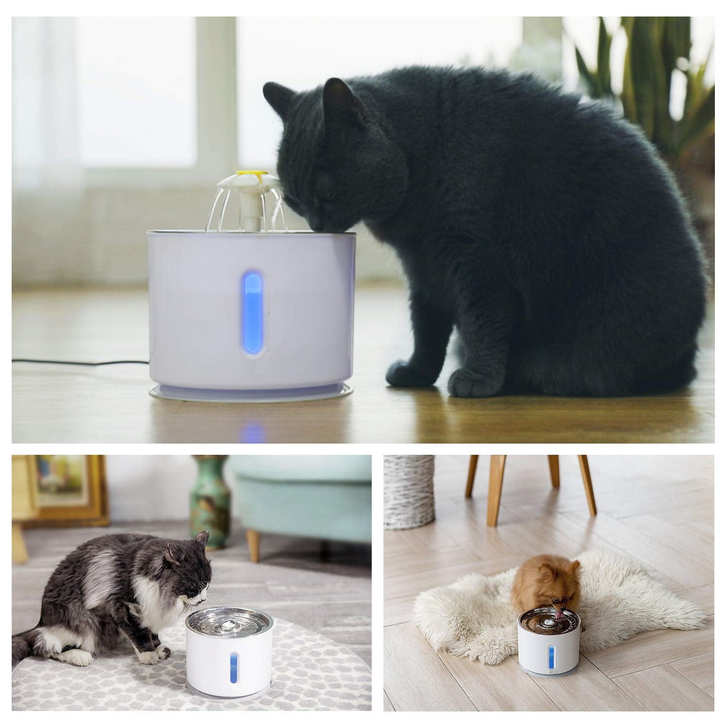 TEEI Pet Water Dispenser 2.4L Automatic Electric Ultra Silent Cat Drinking Fountain Dogs Water Dispenser with LED Light 3 Modes with 4Packs Filters