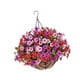 thumbnail image 5 of Cesta colgante de flores artificiales para centros de mesa, colgador de plantas, planta colgante B, 5 of 9