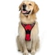 thumbnail image 2 of No-pull Dog Harness Padded Adjustable Pet Vest Harness For Large Dogs Training Or Walking, 2 of 5