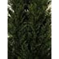 thumbnail image 5 of Two 5 Foot Outdoor Artificial Cedar Topiary Trees Potted Plants Two Peace Construction, 5 of 5