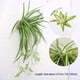 thumbnail image 3 of Flor artificial, orquídea colgante artificial, enredadera artificial, material para pared, decoración de pared, mimbre artificial, verde, 3 of 6