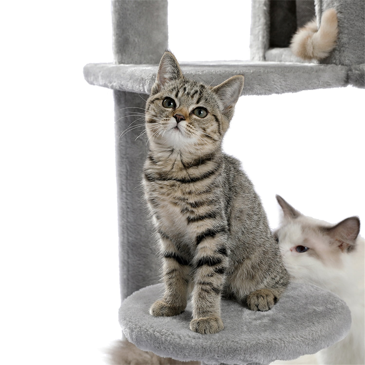 Pefilos 56" Wooden Cat Tower House for Large Cats Cat Tree for Indoor Cats with Cozy Cat Condo, Super Large Hammock and Plush Perches, Gray Pefilos 56" Wooden Cat Tower House for Large Cats Cat Tree for Indoor Cats with Cozy Cat Condo, Super Large Hammock and Plush Perches, Gray