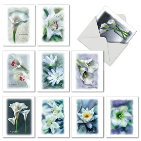 M6598SRG BLOOMING MEMORIES' 10 Assorted Sorry Cards Featuing Simple and Serene White Flower Blooms Expressing Sympathy, with Envelopes by The Best Card (Write With The Best)