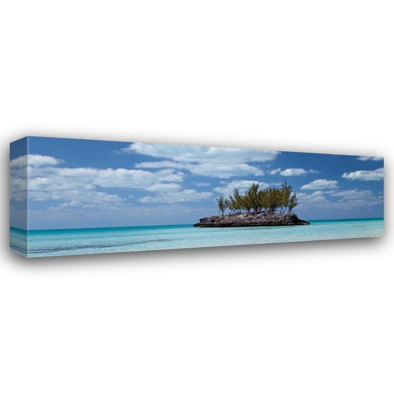 Larry Malvin 18x9 Gallery Wrapped Canvas Wall Art Titled - Gaulding Cay Conch Panel