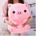 thumbnail image 2 of Cerdo de peluche suave de 40cm con forma redonda, almohada grande para chico y chica, regalo de Navidad zhangyuxiang unisex, 2 of 2