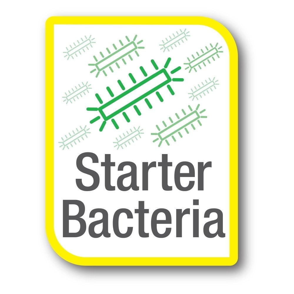 Bactéries vivantes TETRA SAFESTART BACTERIA 100ML