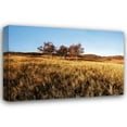 thumbnail image 1 of Alan Hausenflock 18x13 Gallery Wrapped Canvas Wall Art Titled - Autumn Meadow II, 1 of 4