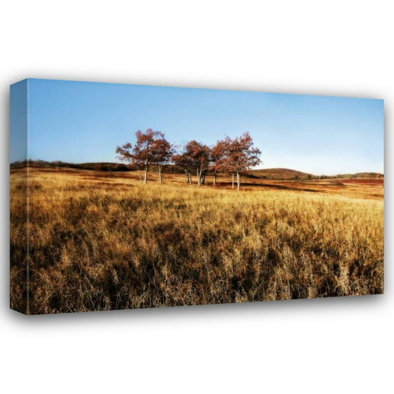 Alan Hausenflock 18x13 Gallery Wrapped Canvas Wall Art Titled - Autumn Meadow II