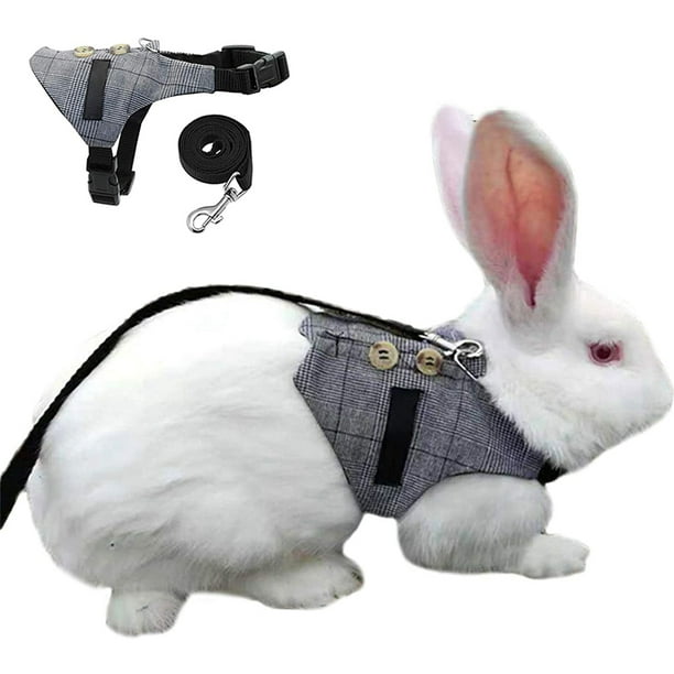 Rabbit harness hot sale walmart