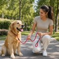 thumbnail image 3 of Heavy-Duty Dog Training Leash for Walking, Training and Outdoor Pet Handling, 3 of 6