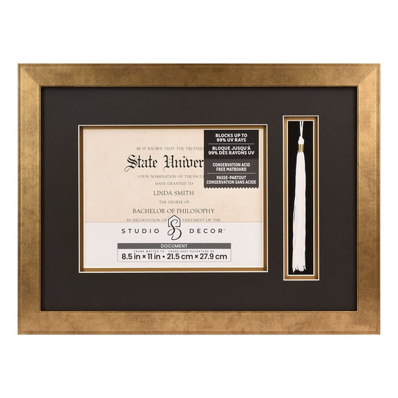 Studio Decor 2 Opening 8.5" x 11" Gold Document Picture Frame & Tassel Frame with Double Mat - Blocks up to 99% UV Rays, Display Diplomas, Certificates, & Documents - 1 Pack
