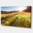 thumbnail image 2 of Route de Ferme dans Prairie Rurale - Impression sur Toile Paysage, 2 of 3