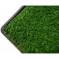 thumbnail image 5 of Downtown Pet Supply Grass Pad for Dogs, Dog Pee Pads System, 16 x 20", 5 of 8
