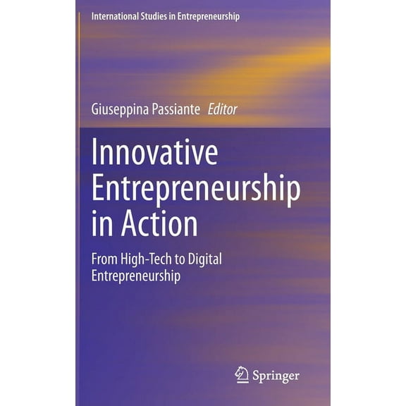 International Studies in Entrepreneurshi Innovative Entrepreneurship in Action: From High-Tech to Digital Entrepreneurship, Book 45, (Hardcover)