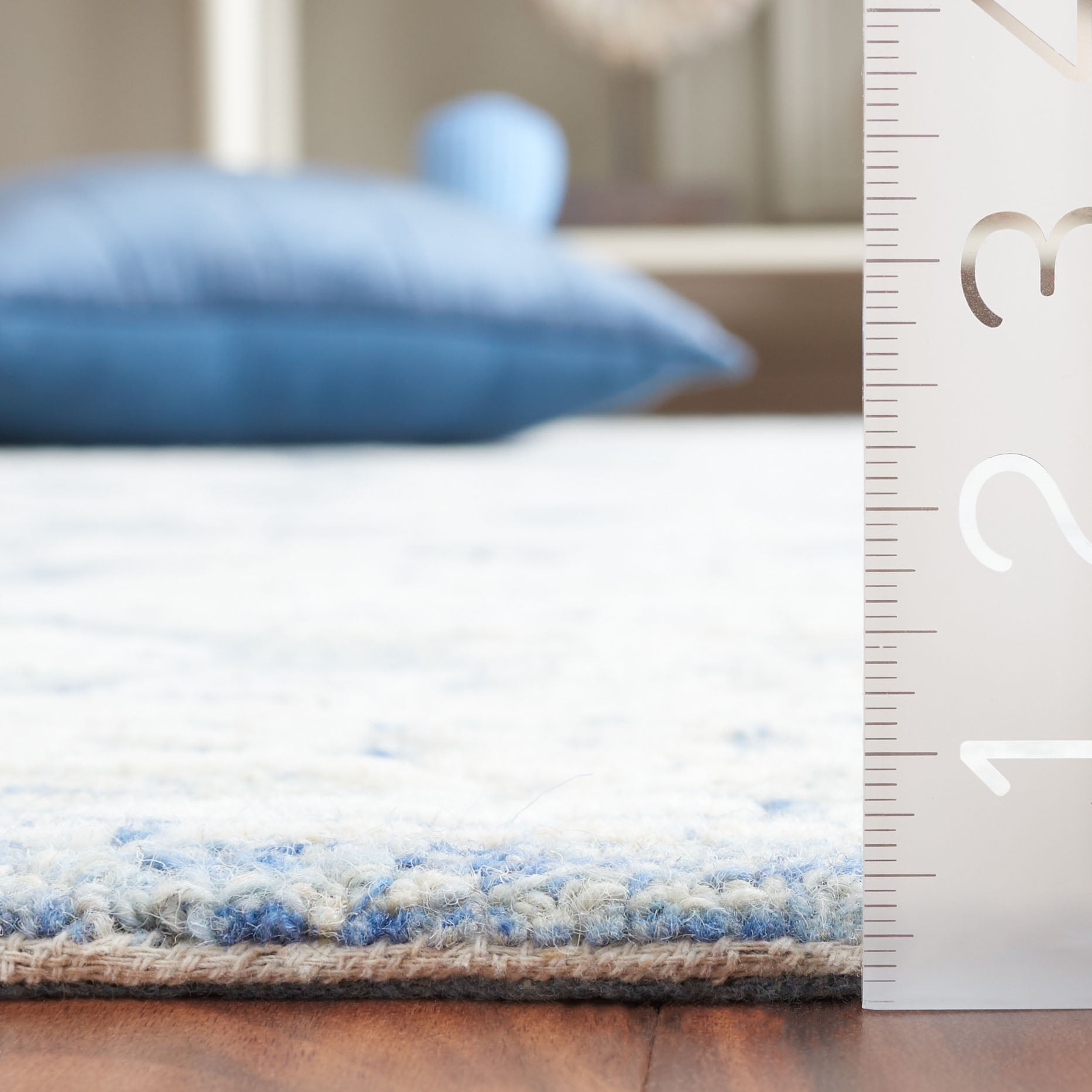 SAFAVIEH Ebony Aideen Floral Area Rug, Ivory/Blue, 4' x 6'