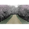 thumbnail image 2 of Nagler, Monte 14x11 Gold Ornate Wood Framed with Double Matting Museum Art Print Titled - Apple Blossom Lane, 2 of 4