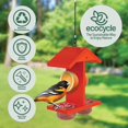 thumbnail image 3 of Comedero para aves EcoCycle Citrus Sampler de doble cara, 0,4 cuartos, 3 of 9