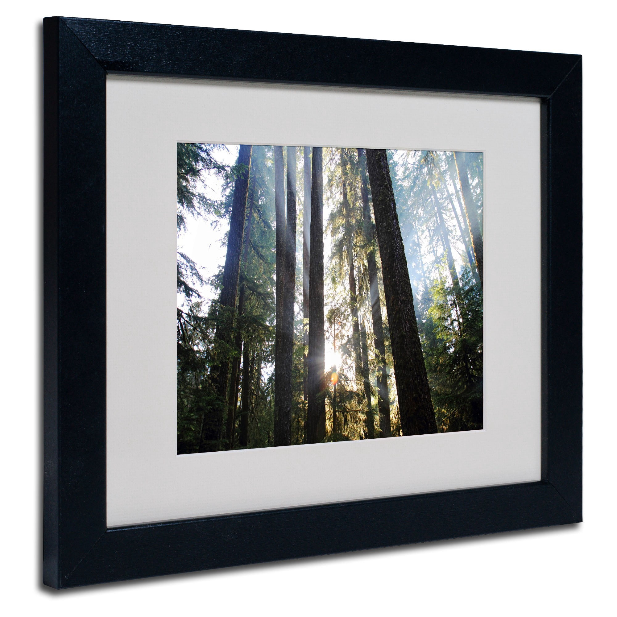 Trademark Fine Art "Sunrays" Matted Framed Art by Pierre Leclerc