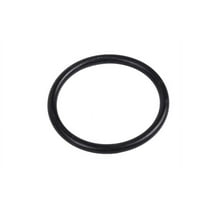GM Genuine Parts Water Pump Seal