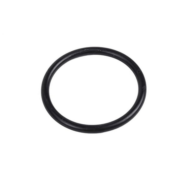 GM Genuine Parts Water Pump Seal