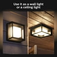 thumbnail image 5 of Philips Hue Econic Outdoor White & Color Wall & Ceiling Light Fixture (Hue Hub Required, Works with Alexa, Apple Homekit & Google Assistant), 5 of 5