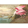 thumbnail image 1 of Hopes are shy birds- Fine Art Canvas Print (20" x 30"), 1 of 1