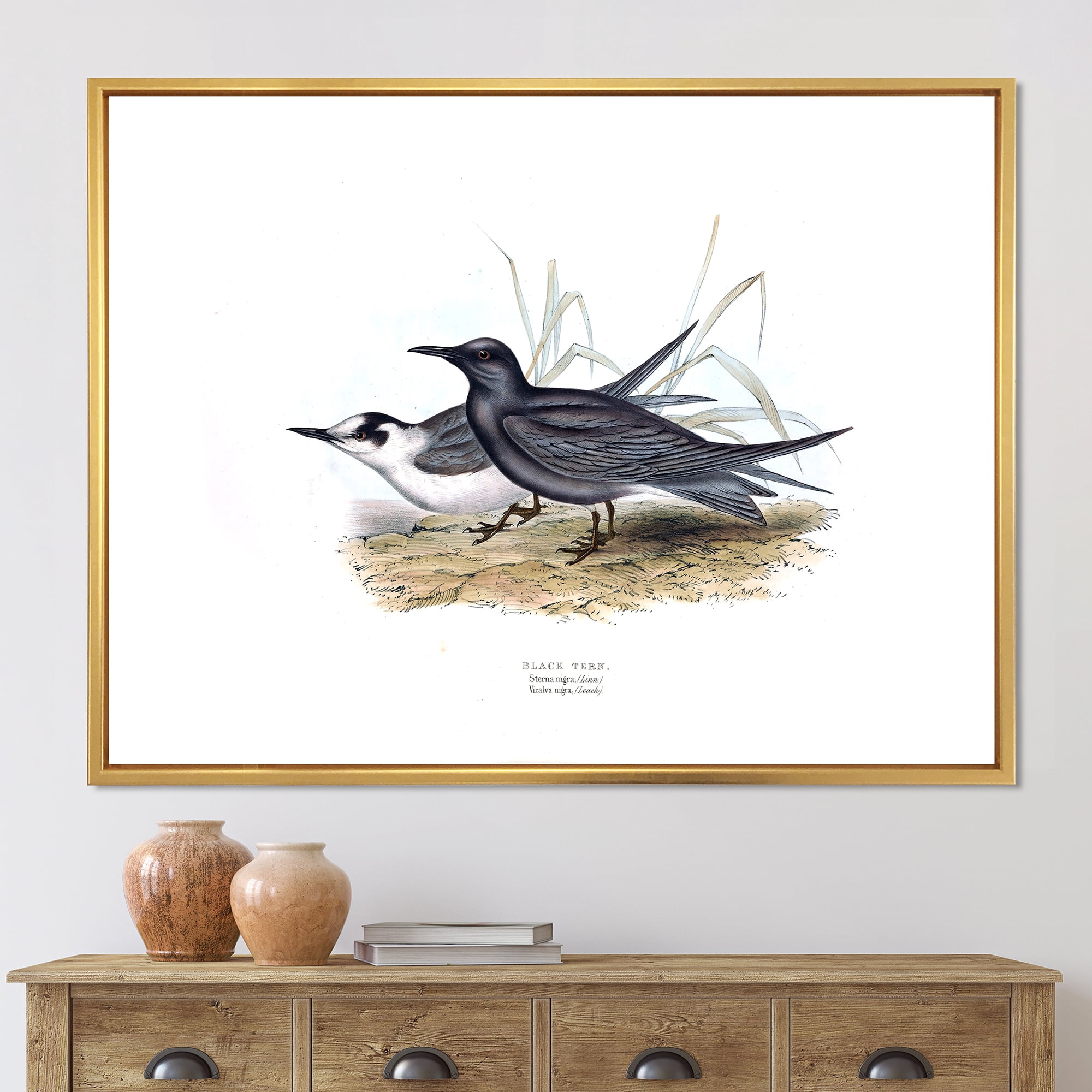Designart 'Ancient Bird Of Europe II' Traditional Framed Canvas Wall Art Print