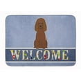 thumbnail image 1 of Carolines Treasures BB5644RUG Irish Water Spaniel Welcome Machine Washable Memory Foam Mat, 1 of 4