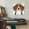 thumbnail image 5 of Epic Art 'Beagle Wearing Hipster Glasses 2' by Furbaby Affiliates, Acrylic Glass Wall Art, 12"x12", 5 of 8