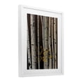 thumbnail image 3 of Stupell Industries Autumnal Birch Tree Trunks White Framed Print Under Glass design by Julie Peterson, 16 x 13, 3 of 10