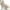 D-Beige, variant on 2024 New Small Pet Dog Clothes Small Dog Sweaters for Girls Fashion Costume Puppy Cotton Dog Sweater Medium To Large Blend T-Shirt