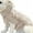 I-Beige, variant on Kcodviy Pet Dog Clothes Velvet Designer Dog Hoodies for Medium Dogs Thick Warm Clothing for Small Dog Clothes Pack Dogs Cute Pet Clothes for Autumn and Winter Thick Warm Clothing for Dogs
