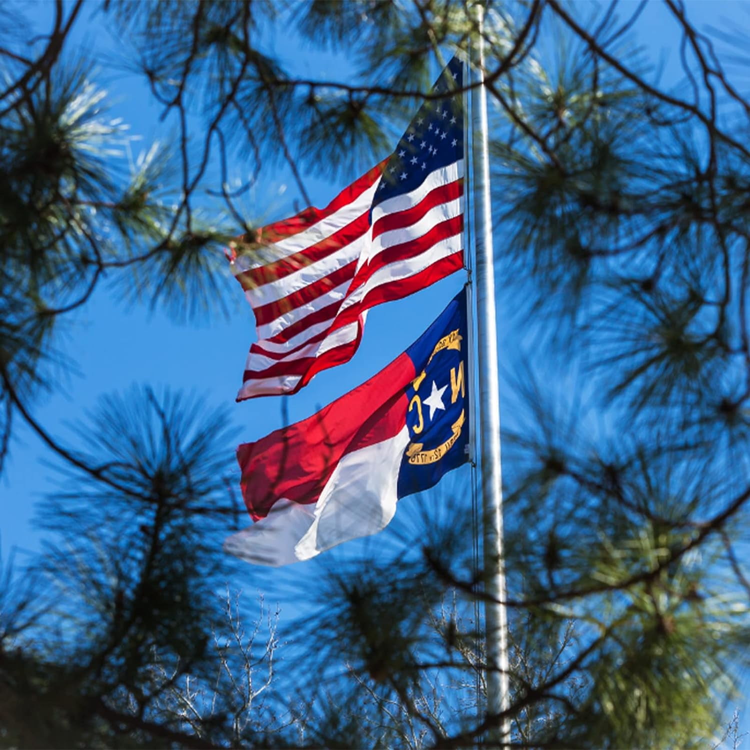 FLAGWIN North Carolina Flag 3x5 FT - Embroidered Polyester North Carolina State Flag with Brass Grommets - Vivid Color and Fade Proof State of NC Flag 3x5 Outdoor