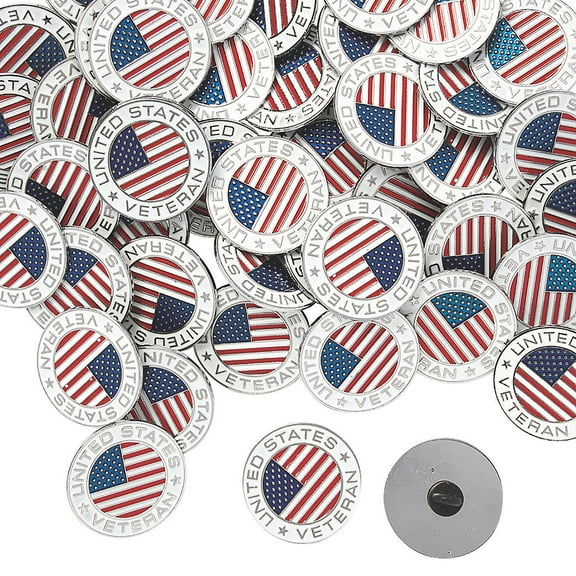 Bulk Veteran Enamel Pins, Jewelry, Party Supplies, 72 Pieces