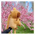 thumbnail image 4 of Mochila de Felpa de Capibara, Bolso de Piel de Muñeco de Peluche Kawaii A , Bolso para Niños, Bolso de Hombro, Minimochila, 4 of 8