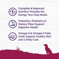 thumbnail image 4 of Wellness, Complete Health Small Breed, Turkey & Oatmeal - Dry Dog Food, 4 of 4
