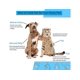 thumbnail image 4 of Cepillo De Peine Para Perros, Cepillo De Aseo Para Mascotas, Uso Diario Para Limpiar El Pelo Suelto Y La Suciedad, Ideal Para Perros Y Gatos Con Pelo Medio Largo, 1 Pieza, Azul, 4 of 5