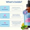 thumbnail image 2 of JoySpring Organic Kids Brain Boosting Supplement for Focus and Attention, 2 of 8
