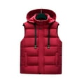 thumbnail image 2 of BAETEUY Men Waistcoat - Stand Collar Hooded Sleeveless Zipper Placket Down Cotton Vest with Pockets, 2 of 8