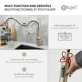 thumbnail image 5 of Stylish 20" Ht Single Handle Brushed Gold Pull Down Kitchen Faucet with Water Filter K-107GR, 5 of 15
