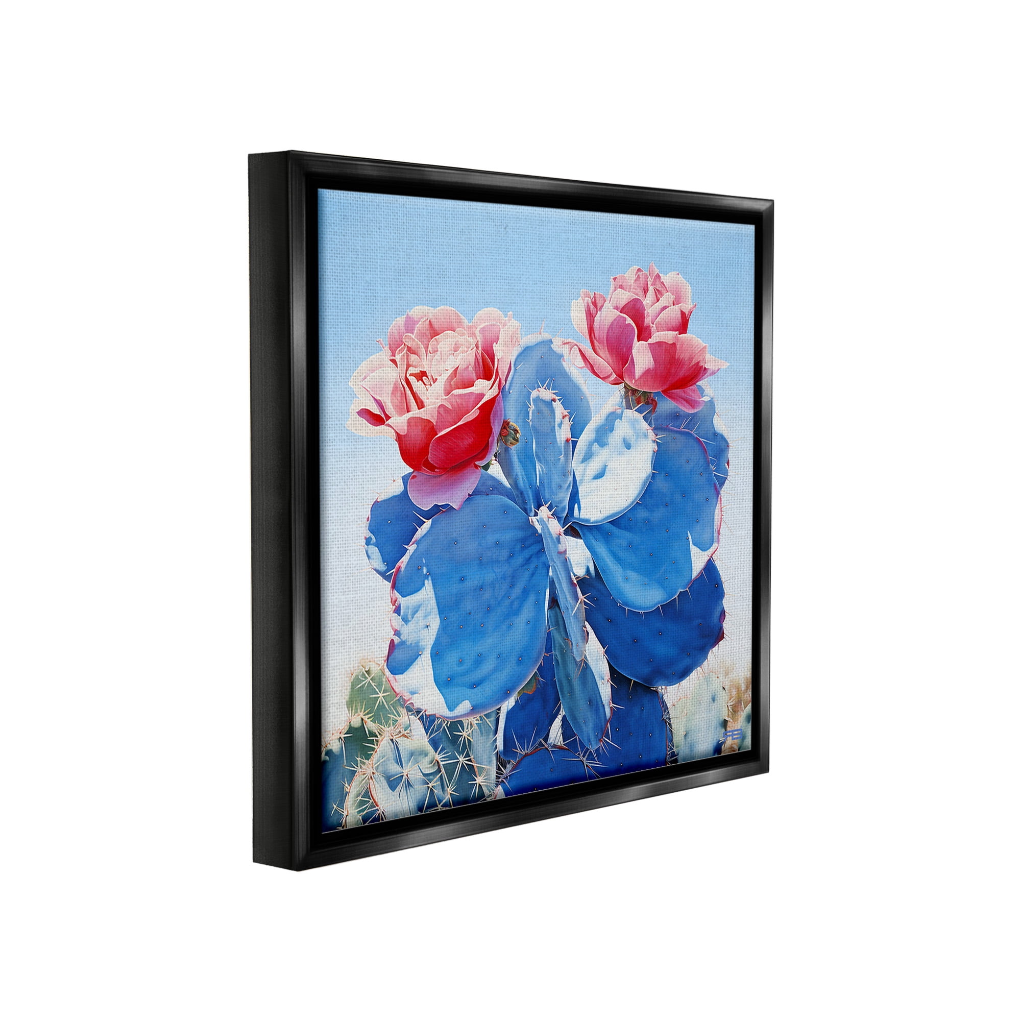 Stupell Industries Twin Cactus Blossoms Botanical & Floral Painting Black Floater Framed Canvas Art Print Wall Art, 18 x 18