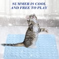 thumbnail image 4 of Cool Feeling Cats - Breathable Cool Small Mat - Spring And Summer Dog Bed Kennel - Pet Cats Mats, 4 of 6