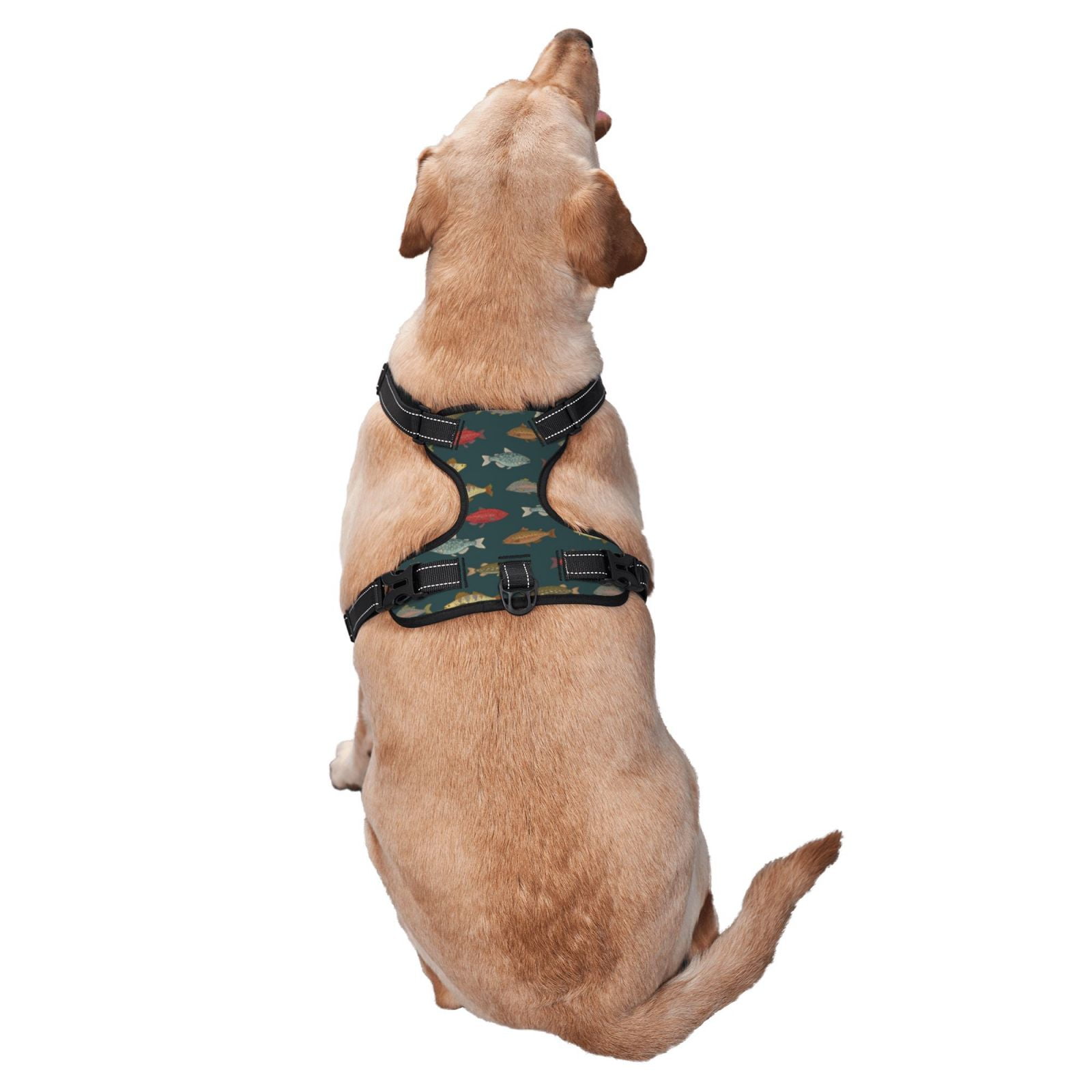 Vsdgher River Freshwater Fish Pattern Dog Harness,No Pull Pet Harness with Soft Padded Handle,Adjustable Reflective Vest with 2 Buckles,4 Slide Buckles,S-XL Medium
