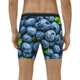 thumbnail image 4 of Disketp Fresh Blueberries Men's Boxer Briefs Men’s Underwear Boxer Briefs for Men, 4 of 7