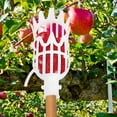 thumbnail image 3 of 2pcs Fruit Pickers Loquat Picking Tools Bayberry Picker Fruit Picking Devices, 3 of 6